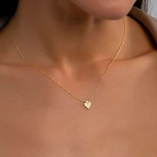 Seashell Necklace