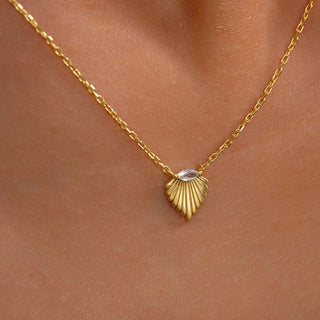 Seashell Necklace