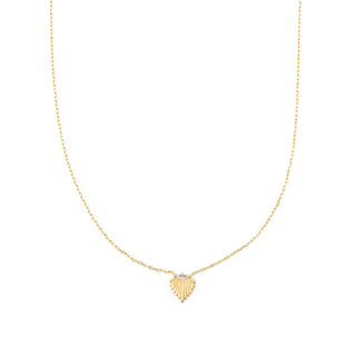 Seashell Necklace