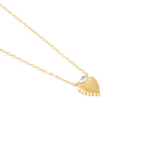 Seashell Necklace
